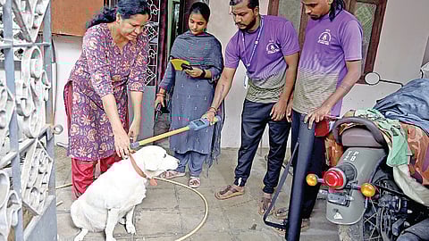 சென்னை மாநகராட்சிப் பகுதியில் வளர்ப்பு நாய்களுக்கு உரிமம் பெறும் அவகாசம் கடந்த 14-ம் தேதி முடிவடைந்தது. கொளத்தூர் பகுதியில் மாநகராட்சி ஊழியர்கள் வீடு வீடாகச் சென்று, நாய்களுக்கு மைக்ரோ சிப் பொருத்தப்பட்டுள்ளதா என்று நவீன கருவி மூலம் சோதனை செய்தனர். | படம்: எஸ்.சத்தியசீலன் |