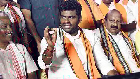 படம்: எம்.சாம்ராஜ்