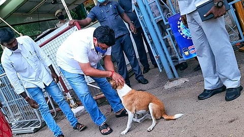 அமைச்சர் பிடிஆரின் செல்லப் பிராணியாக மாறிய சென்னை தெரு நாய்!