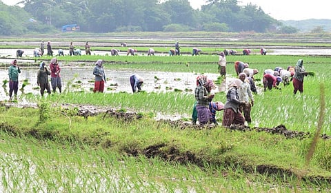 Leaders extend wishes on National Farmers day.