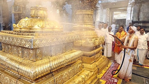 ஏகாதசியை முன்னிட்டு ஆழ்வார் திருமஞ்சன சேவை