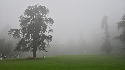 ஊட்டியில் உறைய வைக்கும் உறைபனி!