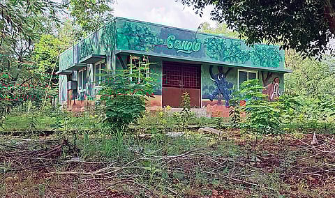 மேட்டுப்பாளையத்தில் புதிதாக அமைக்கப்பட்ட வேழம் இயலியல் பூங்கா திறக்கப்படாததால், முட்புதர் நிரம்பிக் காணப்படும் காட்சி அரங்கு மற்றும் விளையாட்டு உபகரணங்கள்.