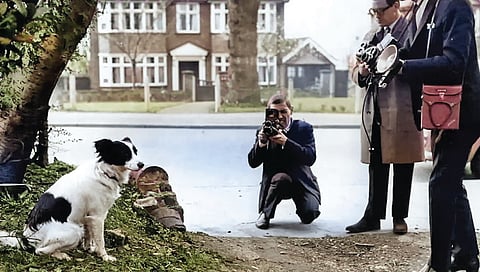பிக்கிள்ஸ் எனும் ஹீரோ! | வரலாறு முக்கியம் மக்களே! - 32