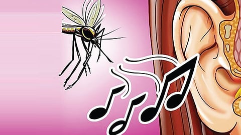 கொசு காதில் ரீங்காரம் செய்வது ஏன்? | டிங்குவிடம் கேளுங்கள்