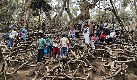 குணா குகை