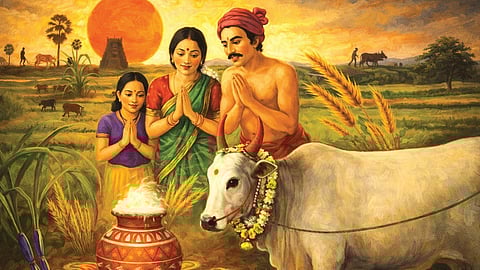 பொங்கல் இனிப்பானது மட்டும்தானா?