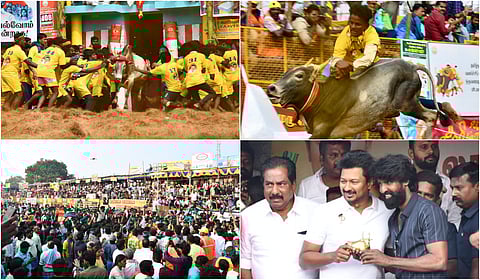 பாலமேடு ஜல்லிக்கட்டு பரவச தருணங்கள்!