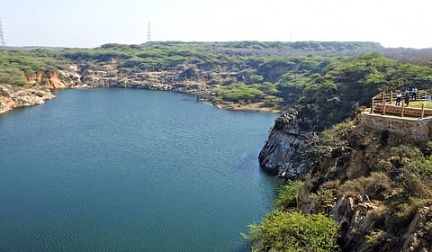 அசோலா சரணாலயத்தில் 10,000 விலங்குக்கு மறுவாழ்வு