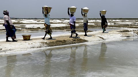 தூத்​துக்​குடி​யில் 25,000 ஏக்​கரில் சீரமைப்பு பணிகள் தீவிரம்: 25 லட்சம் டன்​ உப்பு உற்பத்திக்கு இலக்கு