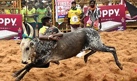 ஜல்லிக்கட்டு போட்டிகளில் காளைகள், வீரர்கள் பதிவு முறையில் மாற்றம்: தமிழக அரசு அறிவிப்பு