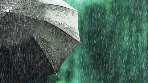 வானிலை முன்னறிவிப்பு: மேற்கு தொடர்ச்சி மலை மாவட்டங்களில் நாளை மழைக்கு வாய்ப்பு