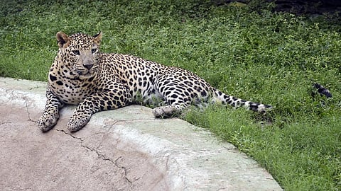 கோப்புப் படம்