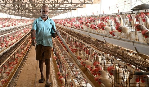 கோப்புப் படம்&nbsp;