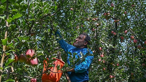 கோப்புப்படம்
