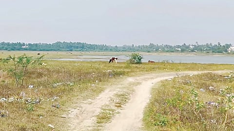 போதிய மழையில்லாததால் அரூர் பெரிய ஏரியின் நீர்மட்டம் குறைந்து வேகமாக வறண்டு வருகிறது. 