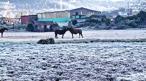 ஊட்டி காந்தல் பகுதியில் உள்ள புல்வெளியில் படர்ந்திருந்த உறைபனி.