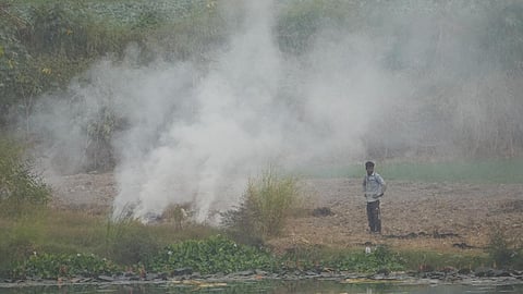விவசாயிகள் வைக்கோல் எரிப்பது குறைந்தது: மத்திய அமைச்சர் சிவராஜ் சிங் தகவல்