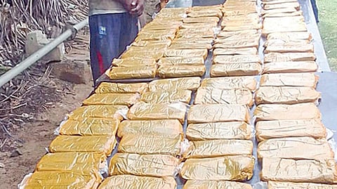 பறிமுதல் செய்யப்பட்ட `ஹாஷிஷ்' போதைப் பொருள்.