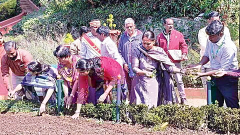 ஊட்டி தாவரவியல் பூங்காவில் கோடை சீசனுக்காக மலர் செடிகள் நடவு பணியை மாவட்ட ஆட்சியர் லட்சுமி பவ்யா தொடங்கி வைத்தார்.