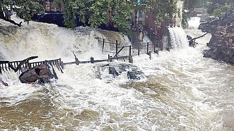 ஒகேனக்கல் அருவி. (கோப்பு படம்)