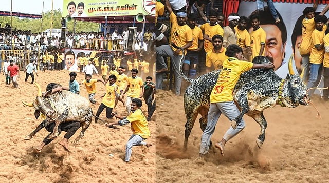 <div class="paragraphs"><p>படங்கள்: ர.செல்வமுத்துகுமார்</p></div>