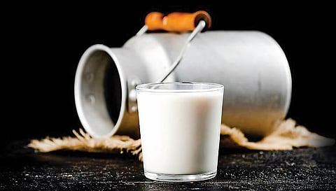 கலப்படப் பால்: இறப்பை ஏற்படுத்துமா?