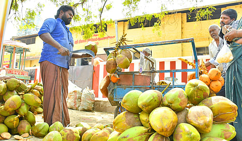 தமிழகத்தில் மார்ச் 5 வரை வறண்ட வானிலை - வெப்பநிலை உயர வாய்ப்பு
