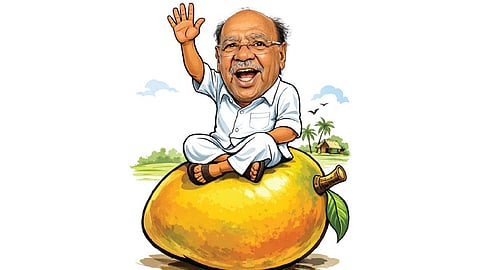 மாம்பழம் சின்னத்தில் போட்டியிட 5 பேருக்கு சீட்: பாஜகவுக்கு ராமதாஸ் கொடுத்திருக்கும் ஆஃபர்