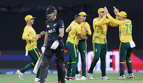 நியூஸிலாந்துக்கு எதிரான டி20 போட்டி: தென் ஆப்பிரிக்க அணி அபார வெற்றி