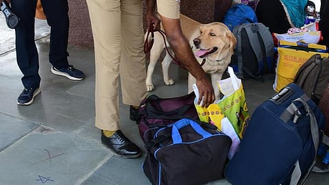 கோப்புப் படம்&nbsp;