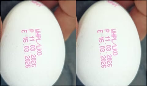 முட்டைகளில் காலாவதி தேதி அவசியம்: உ.பி. அரசின் புதிய உத்தரவு ஏப்.1 முதல் அமல்