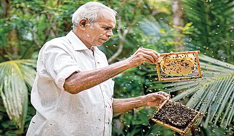 10 ஆயிரம் பேரை உருவாக்கிய முன்னோடி: 61 ஆண்டு​ கால தேனீ வளர்ப்புப் பயணம்
