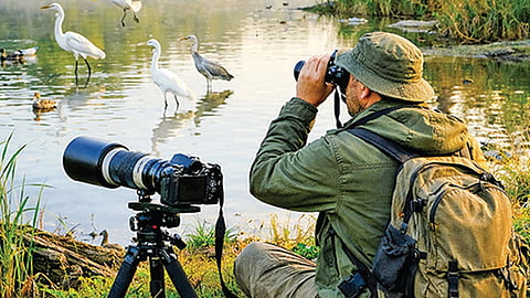 பறவைகள் கற்றுத்தரும் பாடம்