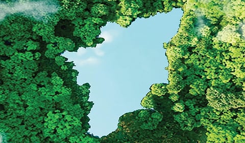 பேரவைத் தேர்தல் 2026 | சுற்றுச்சூழல் பாதுகாப்பு: தமிழகத்தின் பங்கு என்ன?