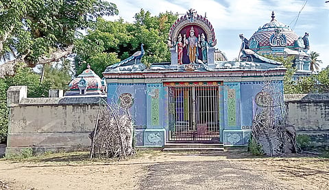 நாகதோஷம் போக்கும் நரிமுடுக்கு நாகசுப்பிரமணியர்