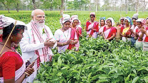அசாமில் காங்கிரஸுக்கு ஹாட்ரிக் தோல்வி உறுதி: தேர்தல் பிரச்சாரத்தில் பிரதமர் மோடி விமர்சனம் 