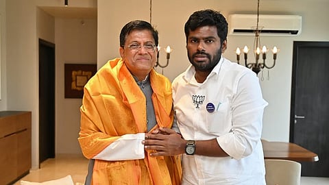 அண்ணாமலை ஏன் தேர்தலில் போட்டியிடவில்லை? - பியூஸ் கோயல் விளக்கம் 