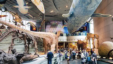 அருங்காட்சியகங்களில் திரளும் சீனர்கள்… காரணம் என்ன?