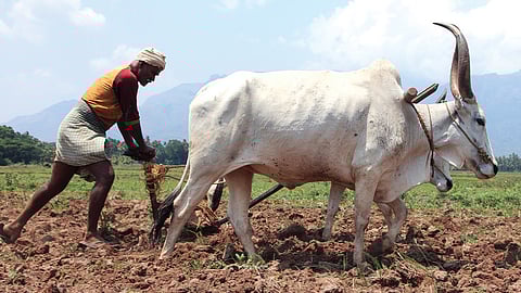 பேரவைத் தேர்தல் 2026: விவசாயிகளின் வேண்டுகோள்கள் செவிமடுக்கப்படுமா?