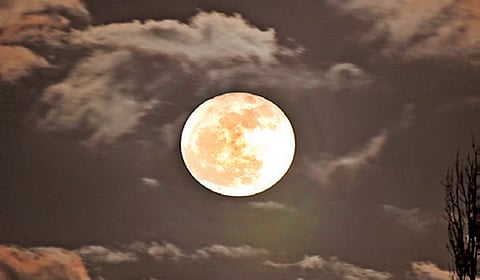 நிலவு எந்தத் திசையில் உதிக்கிறது? | டிங்குவிடம் கேளுங்கள்