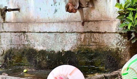 ஏப்.20 வரை தமிழக உள் மாவட்டங்களில் 5 டிகிரி வரை வெப்பநிலை உயர வாய்ப்பு