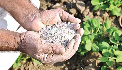 உரத் தட்டுப்பாட்டை ஏற்படுத்துமா ஈரான் போர்?