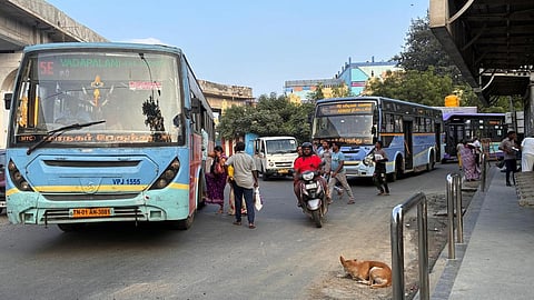 மூத்த குடிமக்கள், மாற்றுத் திறனாளிகள் வாக்குப்பதிவு செய்ய கட்டணமில்லா பயணம்: மாநகர் போக்குவரத்துக் கழகம் தகவல்