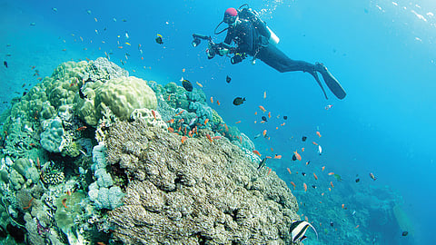 கடலடியில் ஒளிந்திருக்கும் முத்தான வாய்ப்புகள்! - வேலைன்னு வந்துட்டா... | அத்தியாயம் 29