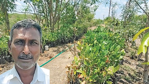 விருதுநகர் பேராலி சாலையில் மாவட்ட நிர்வாகம் வழங்கிய இடத்தில் அமைக்கப்பட்டுள்ள நர்சரி. (உள்படம்)&nbsp;புஷ்பராஜ்