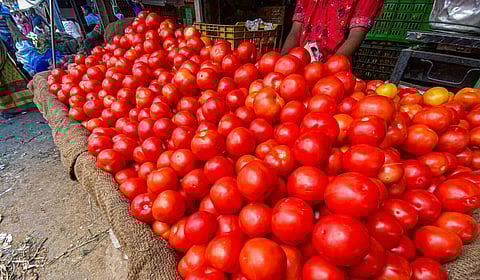 சென்னை: சில்லறை விற்பனை கடைகளில் தக்காளி விலை ரூ.50 ஆக அதிகரிப்பு