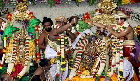 படங்கள்: நா. தங்கரத்தினம்