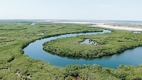 ராம்சார் தளங்கள் பட்டியலில் முதலிடம் வகிக்கும் தமிழ்நாட்டை மிஞ்சத் தயாராகும் உத்தர பிரதேசம்