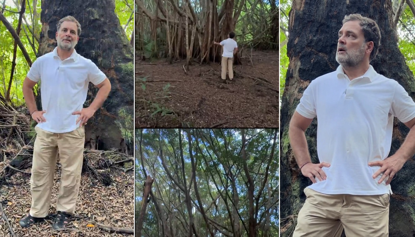 ‘கிரேட் நிகோபார்’ திட்டமே மிகப் பெரிய மோசடி: களப் பயணத்தில் ராகுல் காந்தி விவரிப்பு